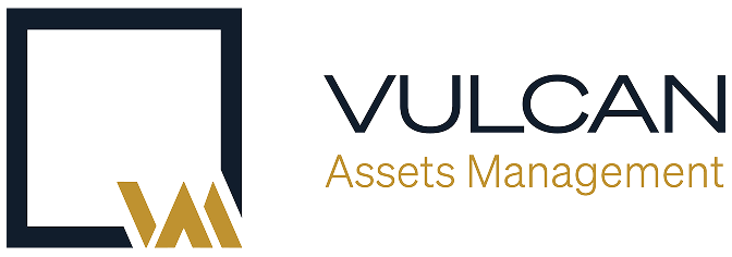 logo VULCAN black